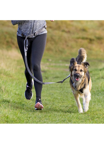 Пояс-шлея для собак с неопреновой подкладкой пояс 70–130 см х 9 см шлея 1,20–1,50 см Trixie (372504948)