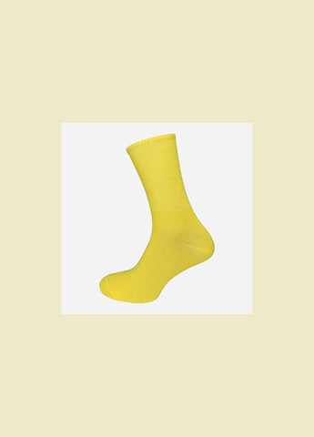 Набір шкарпеток жіночих високих бавовняних Лана Теніс colorful 10 пар Асорті No Brand (285793083)