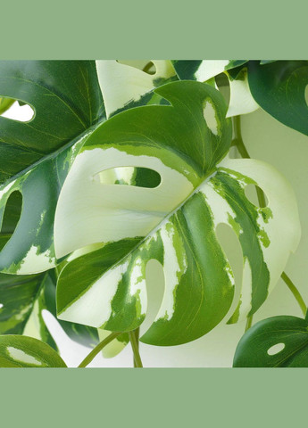 Штучна рослина з наук ІКЕА FEJKA зелений (70548628) IKEA (267900771)