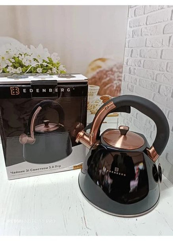 Чайник із нержавіючої сталі EB-8863 зі свистком 3 л чорний Edenberg (369766982)