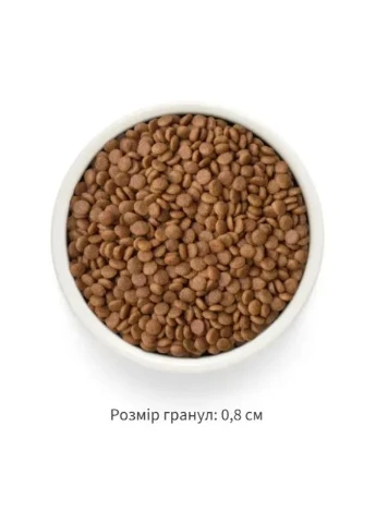 Сухий корм для котів Fresh Качка з бататом для дорослих котів усіх порід 400 г Grandorf (374474176)