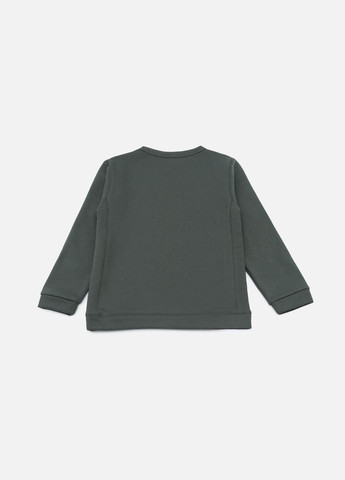 Divonette світшот для хлопчика колір темно-зелений cb-00234627 темно-зелений футер