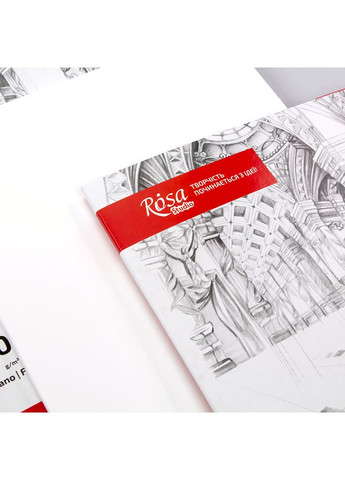 Папка для рисунка 200г/м2 20л Мелкое зерно ROSA Studio Fabriano (362584129)