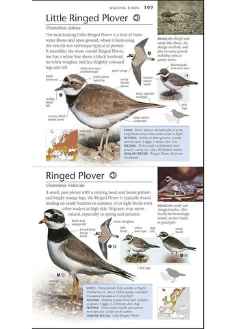 RSPB Карманный справочник птиц Британии и Европы, 5-е издание DK (386497519)