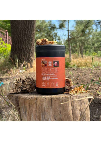 Creatin коктейль (Енергія та витривалість) 40 г Лісовик (364210681)