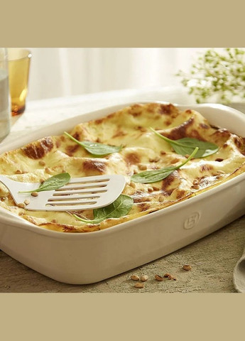 Форма для випічки 29x19 см 029650 Emile Henry (316626246)