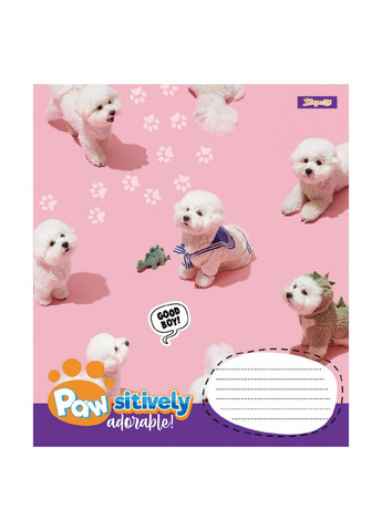 Тетрадь ученическая Pawsitively 1В 768239 18 л. Разноцветный shop (4823092298447) 1B (363299345)