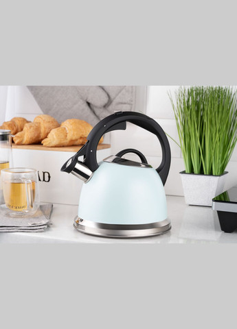 Чайник Gemini, 2л, нержавіюча сталь, блакитний Ardesto (314778796)