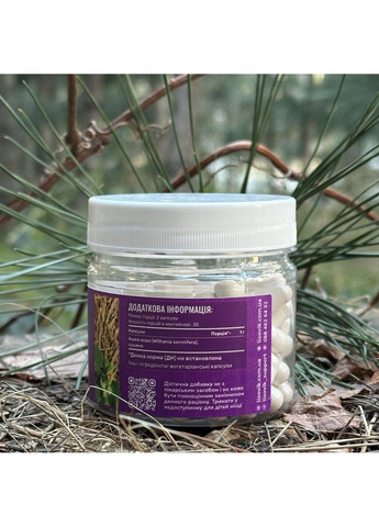 Ашваганда 120 капсул Лесовик Лісовик (364210553)