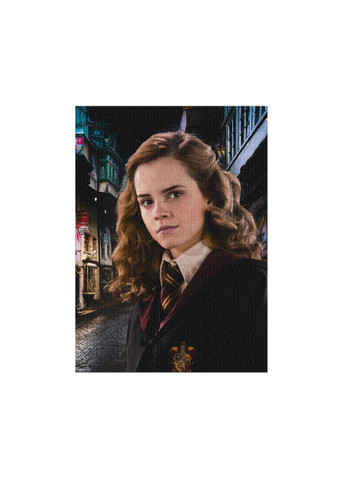 Пазл класичний Hard-M "Harry Potter. Портрет Герміони" 200577, 450 елементів Dodo (315351710)