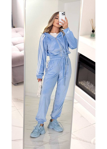 Жіночий велюровий спортивний костюм з лампасами No Brand (369544050)