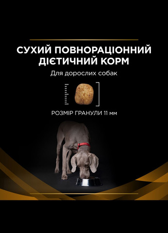 Ветеринарная диета для собак Veterinary Diets NF Renal Function сухой корм при заболевании почек 1.5 кг (7613287916464) Purina (354702520)