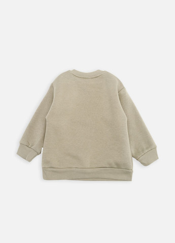 Оливковый (хаки) зимний костюм с брюками для мальчика цвет хаки цб-00257981 Iggy