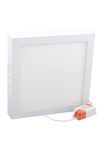 Світильник точковий Євросвітло LED-SS-170-12 6400К (354228945)