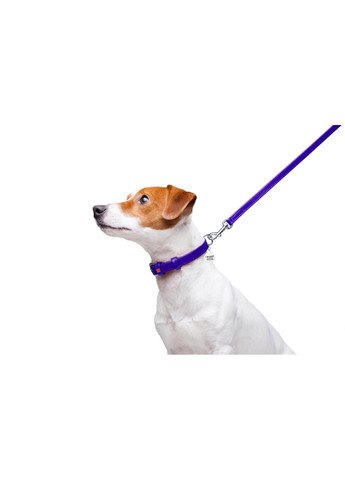 Повідець для собак шкіряний Glamour Ш 12 мм Д 122 см Фіолетовий WAUDOG (364750537)