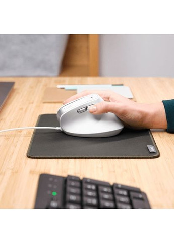 Мышь Bayo 2 Ergonomic White (25397) Trust (344451550)