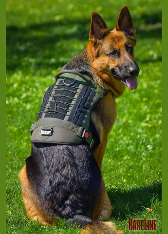 Шлей усилен из нейлона для спец.назначения и собак-спасателей 40 мм А:720-880 мм В:840-1000 мм Kareline (339075096)