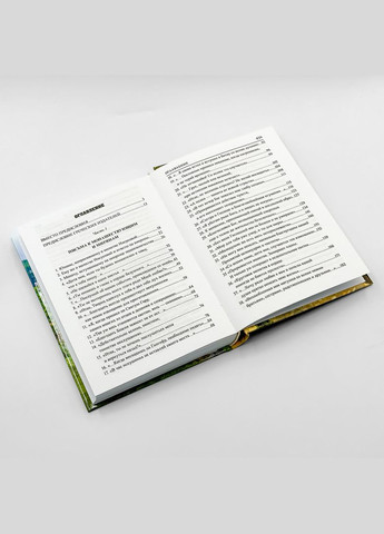 Выражение монашеского опыта – Иосиф Исихаст No Brand (335413750)