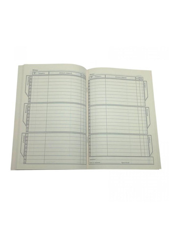 Щоденник, кіт захисник. 143х200 мм, 40 л (24083) MANDARIN (362435002)