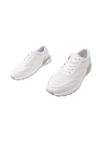 Кроссовки женские белые натуральная кожа Gifanni 341-25LTSP белые (329296897)