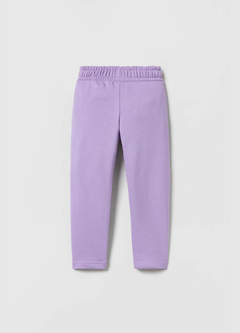 Штани спортивні для дівчинки 9770 122 см Фіолетовий 66694 Zara (336041004)