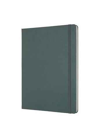 Записная книжка PRO большой зеленая PROPFNTB4HK19 Moleskine (317304615)