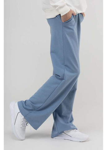 Голубые спортивные демисезонные брюки Adk