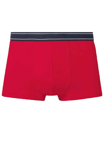 Трусы Livergy (364848155)