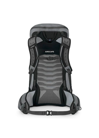 Туристический рюкзак Talon Pro 30 Silver Lining (009.3534) Osprey (324611640)