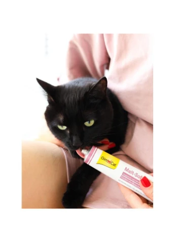 Паста Every Day Malt-Soft Paste Extra для котів для виведення шерсті зі шлунку 200 гLR GimCat (390427207)