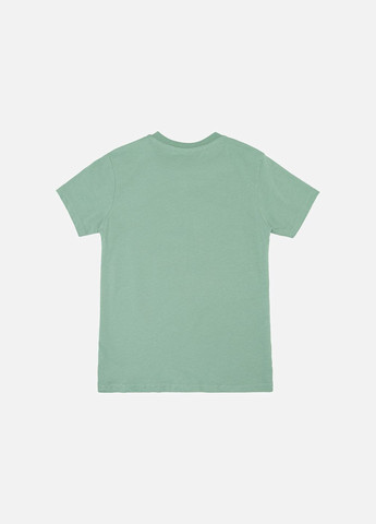 Оливкова літня футболка з коротким рукавом для хлопчика колір оливковий цб-00246199 No Brand