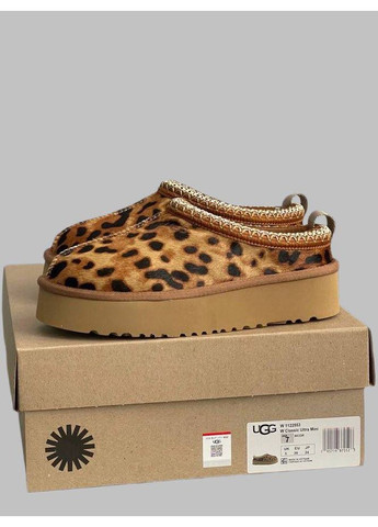 Tazz Platform Угги тазы платформа UGG (360894483)