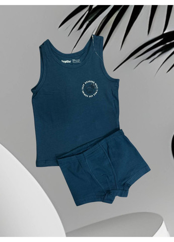 Бирюзовый демисезонный майка и трусы Lupilu