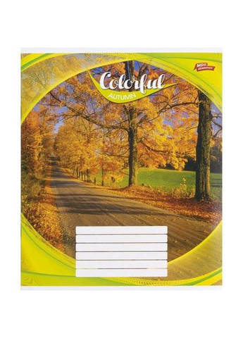 Зошит кольоровий 24 листи клітина Мрії Збуваються для школи та навчання 16 штук ProDobro (367092321)