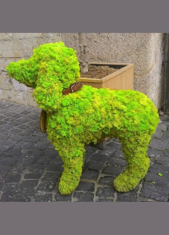 Очищений стабілізований мох ягель Зелений весняний 1 кг Nordic moss (276401184)