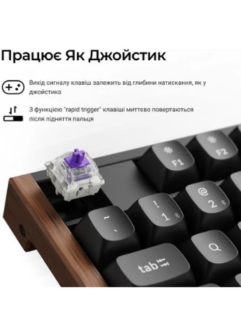 Клавіатура K10 HE Magnetic Switch Black RGB (K10H-F1-UA) Keychron (399518383)