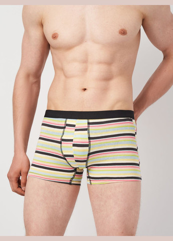 Трусы (3шт) Basic Collection (315007348)