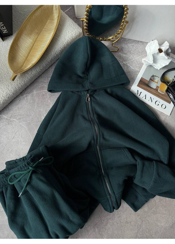 Жіночий флісовий спортивний костюм FINO Mode (366152442)