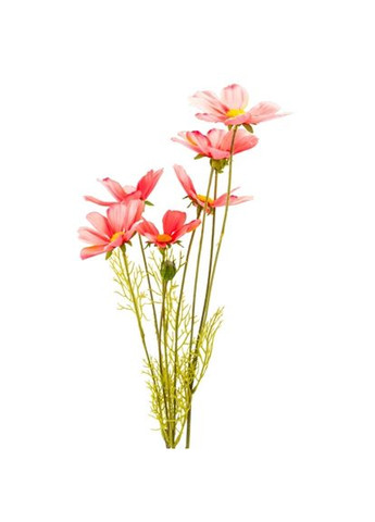 Космея рожева, 90 см ELISEY (333986415)