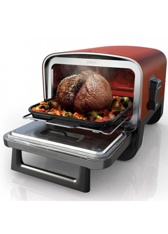 Гриль-барбекю Woodfire (OO101EU) Ninja (323046718)