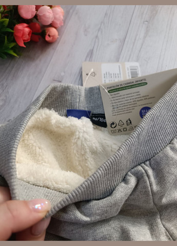 Штани-джогери утеплені для хлопчика Lupilu (322667745)