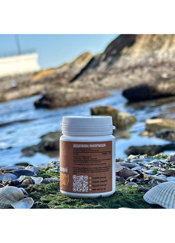 Кордицепс военный в таблетках 60 шт по 0,4 г Лісовик (334711107)