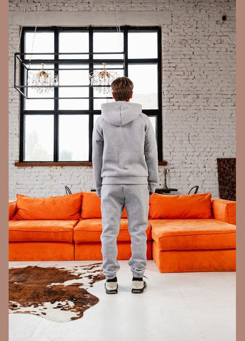 Теплый костюм мужской (худы и брюки) однотонный HC (h001-8361-025) Носи своє (368474789)