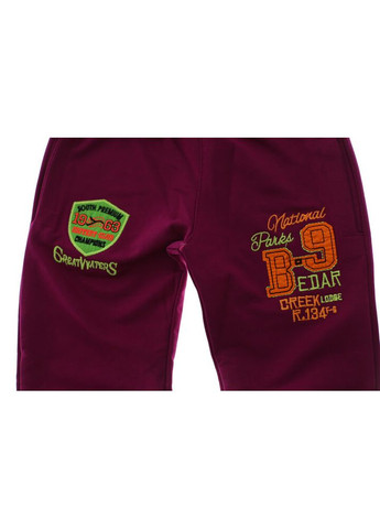 Красные летние джоггеры штаны для девочки трикотажные в-9 красный 128 см (37392) BABYKROHA