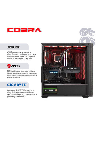 Персональный компьютер (A99X.32.S1.57.20417) Cobra (361852099)