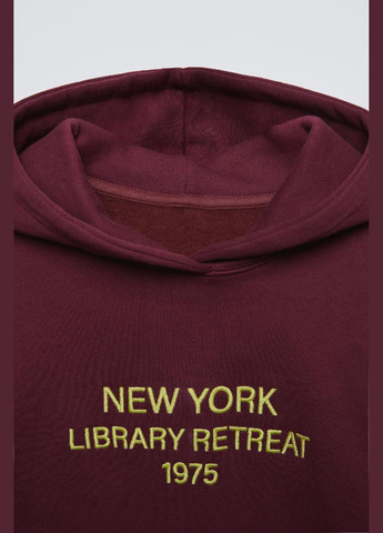 Дитячий теплий спортивний костюм (худі + штани) 5350/803 Каштановий Zara (316471343)