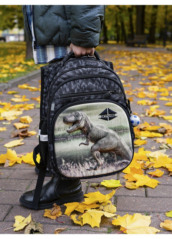 Набор школьный для мальчика рюкзак /SkyName R3-247 + мешок для обуви (фирменный пенал в подарок) Winner (331532371)