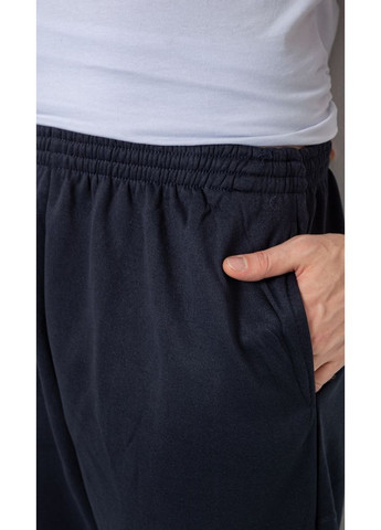 Спортивні штани чоловічі на флісі, колір сірий, 244ROP09 Ager (315134125)