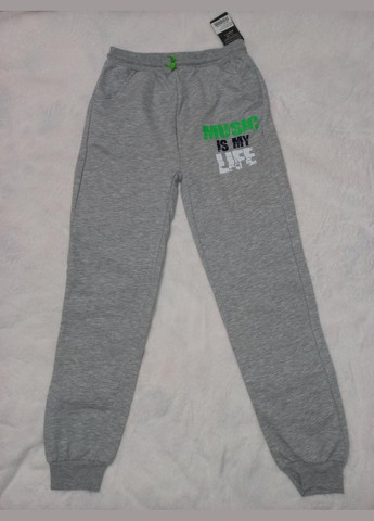 Светло-серые спортивные демисезонные брюки Acar