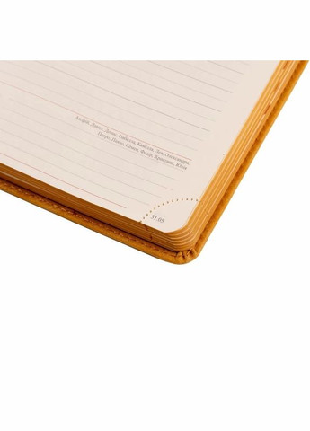 Дневник датированный 2024 год, А5 формата горчичный, Case интегральная обложка Leo Planner (281999568)